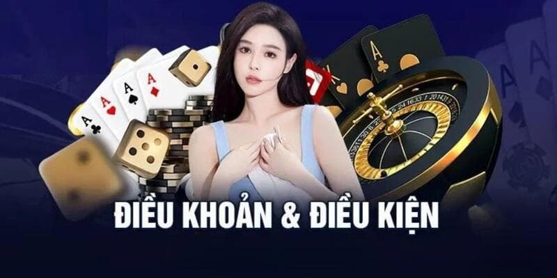 Các nội dung chính trong điều khoản và điều kiện